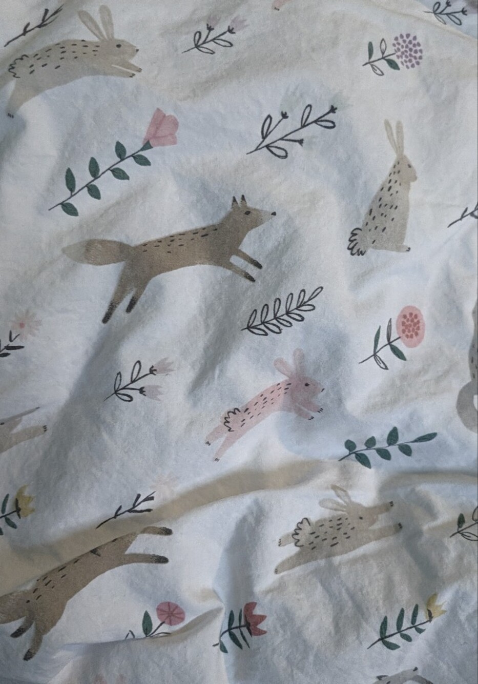 Pottery Barn Kids Crib Sheet Organic Cotton Sheet Ramona Bunnies